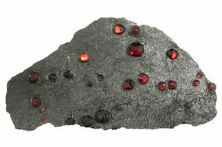 Plate of + Red Embers Garnets in Graphite - Massachusetts #313666