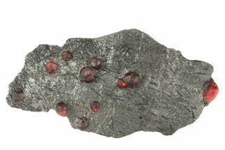 Plate of Eleven Red Embers Garnets in Graphite - Massachusetts #313632