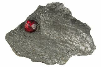 Red Embers Garnet in Graphite - Massachusetts #313652