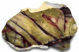 Vibrant Polished Mookaite Jasper Slab - Australia #314274