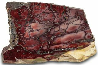 Vibrant Polished Mookaite Jasper Slab - Australia #314282