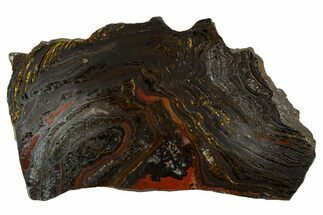 Polished Tiger Iron Stromatolite Slab - Billion Years #314307