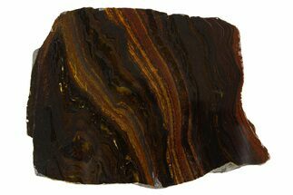 Polished Tiger Iron Stromatolite Slice - Billion Years #314323