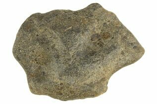 Laayoune 002 Meteorites For Sale