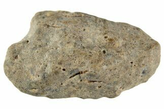 Lunar Meteorite ( g) - Laayoune #313157