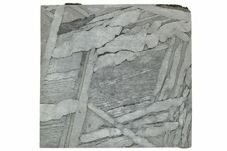 Etched Seymchan Meteorite Slice ( g) - Russia #313256