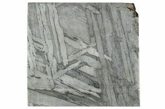 Etched Seymchan Meteorite Slice ( g) - Russia #313260