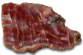 Polished Pilbara Agate Slab - Oldest Known Agate #314427