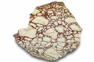 Polished, Brecciated Mookaite Slab - Western Australia #314448