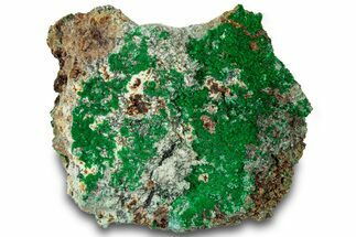 Striking Green Conichalcite Formation - Utah #314502