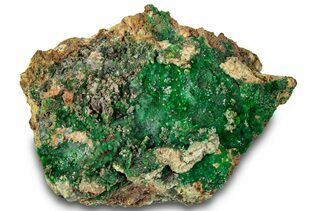 Buy Conichalcite