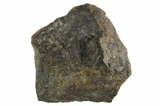 Carbonaceous Chondrite Meteorite ( g) - NWA #313699