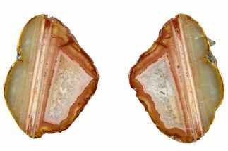 Polished, Banded Bahia Agate Nodule Pair - Brazil #314685