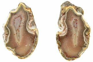 Polished, Banded Bahia Agate Nodule Pair - Brazil #314687
