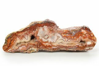 Polished Crazy Lace Agate Section - Mexico #314733