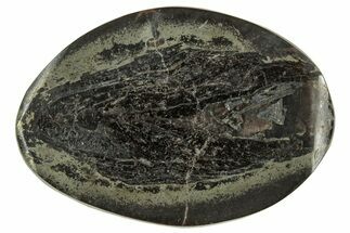 Polished Fish Coprolite (Fossil Poo) Nodule Half - Scotland #314927