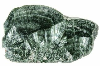 Polished Seraphinite Section - Korshunovkiy Mine, Siberia #314961