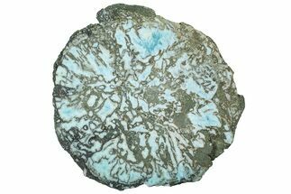 End-Cut of Larimar Replaced Wood Limb Cast #315028