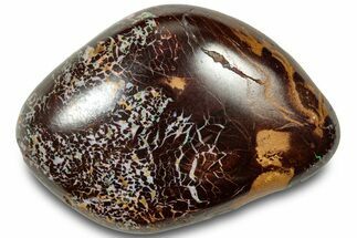 Colorful Polished Boulder Opal Specimen - Queensland, Australia #314802