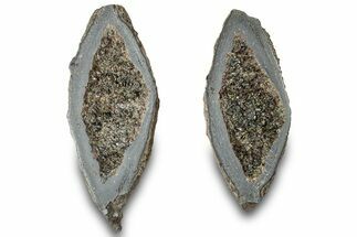 Sliced Olivine Crystal Filled Volcanic Bomb - Spain #315169