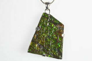 Ammolite Jewelry For Sale