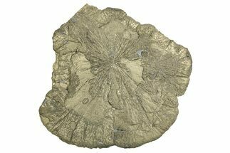 Pyrite Sun - Sparta, Illinois #315892