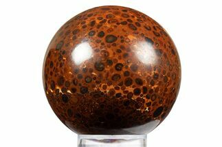 Polished Bauxite (Aluminum Ore) Sphere - Russia #316271