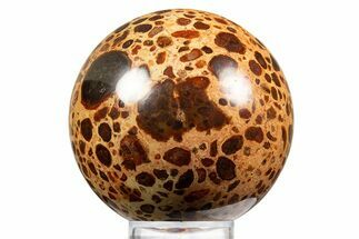 Polished Bauxite (Aluminum Ore) Sphere - Russia #316276