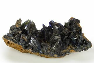Glittering Dark-Green Vivianite Crystals - Ukraine #315599