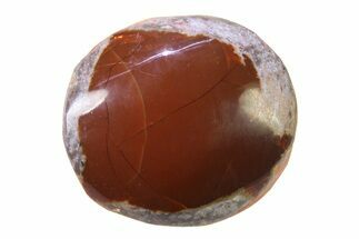 Polished Ethiopian Chocolate Opal Nodule - Yita Ridge #316141