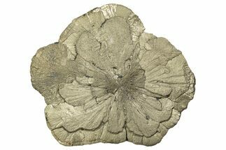 Large, Pyrite Sun - Sparta, Illinois #315851