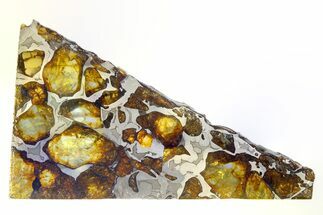 Polished Imilac Pallasite Meteorite ( g) Slice #315420