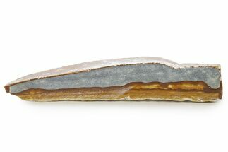 Polished Golden Picture Jasper Slice - Nevada #316205