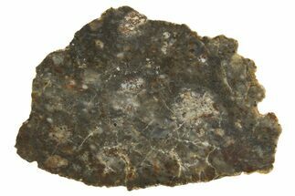 Lunar Meteorite ( g) Thin Slice - NWA #316705