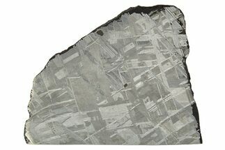 Etched Muonionalusta Meteorite Slice ( g) - Sweden #316714