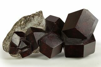 Humongous Almandine Garnets in Schist - Tyrol, Austria #316847