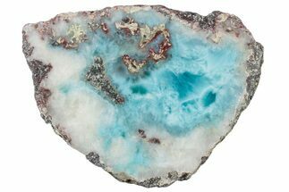 Slice Of Larimar Replaced Wood Limb Cast #316965