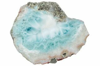 Slice Of Larimar Replaced Wood Limb Cast #316968