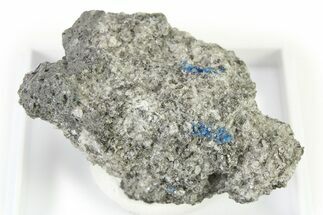 Vibrant Blue Hauyne with Sanidine and Augite - Germany #317198