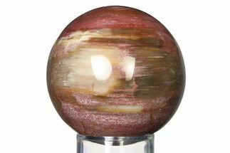 Colorful Petrified Wood (Araucaria) Sphere - Madagascar #317326