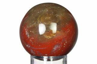 Colorful Petrified Wood (Araucaria) Sphere - Madagascar #317328