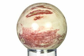 Colorful Petrified Wood (Araucaria) Sphere - Madagascar #317280