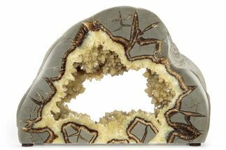 Polished Crystal Filled Septarian Nodule Section - Utah #318011