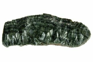 Polished Seraphinite Slab - Korshunovkiy Mine, Siberia #317725