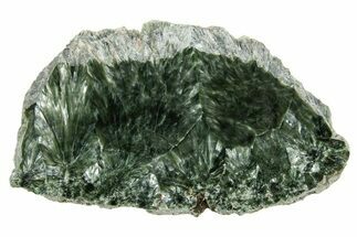 Polished Seraphinite Slab - Korshunovkiy Mine, Siberia #317741