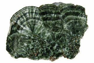 Polished Seraphinite Slab - Korshunovkiy Mine, Siberia #317745