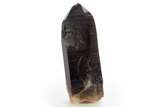 Natural, Dark Smoky Quartz Crystal - Colorado #317841