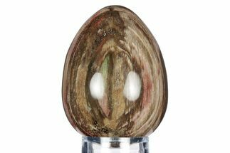 Colorful, Polished Petrified Wood Egg - Madagascar #318338