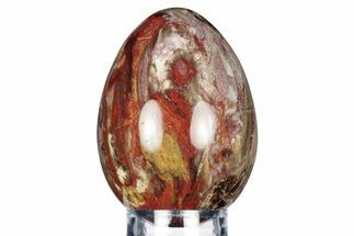 Colorful, Polished Petrified Wood Egg - Madagascar #318341