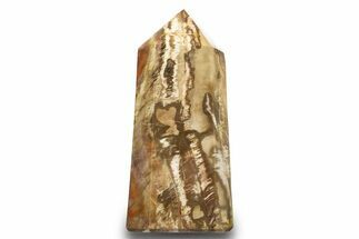 Colorful, Polished Petrified Wood Tower - Madagascar #318477